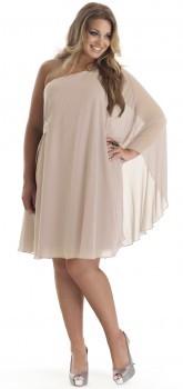 Dream Diva Plus Size Dresses 2012